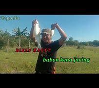 Mimpi Menjaring Ikan Di Sungai Dapat Banyak